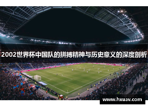 2002世界杯中国队的拼搏精神与历史意义的深度剖析